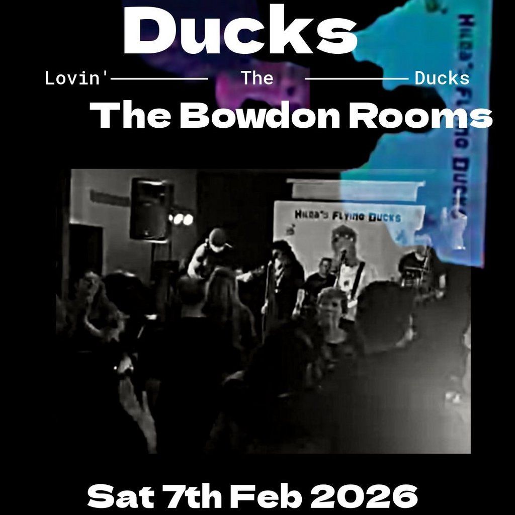 Hilda's Flying Ducks