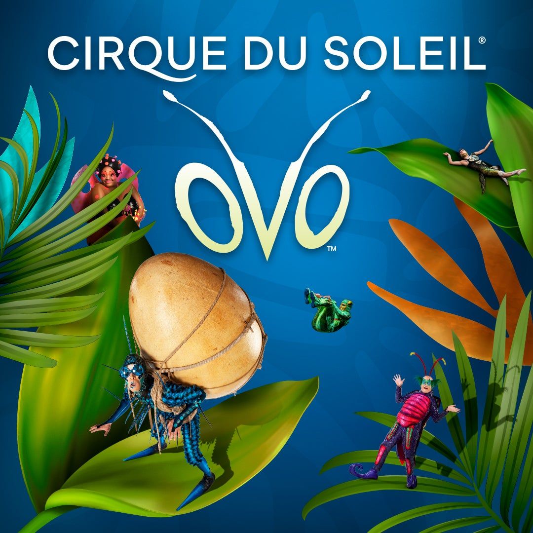 Cirque du Soleil OVO London Tickets