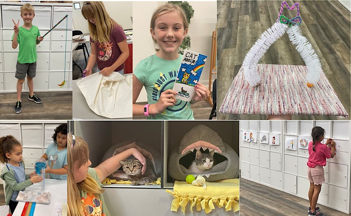 Cat Depots Cat University Cat Depot Community Center, Sarasota, FL