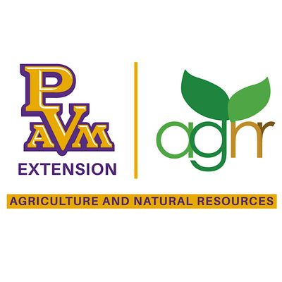 PVAMU Extension- AgNR