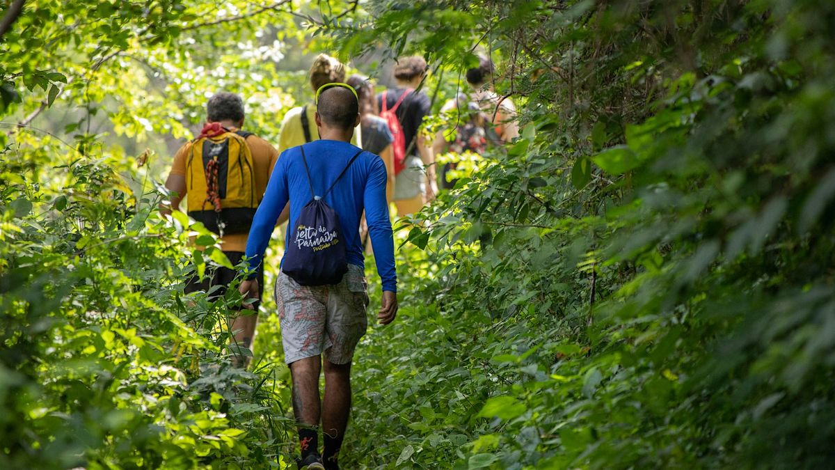 Naturalist Walk and Talk - Butterflies