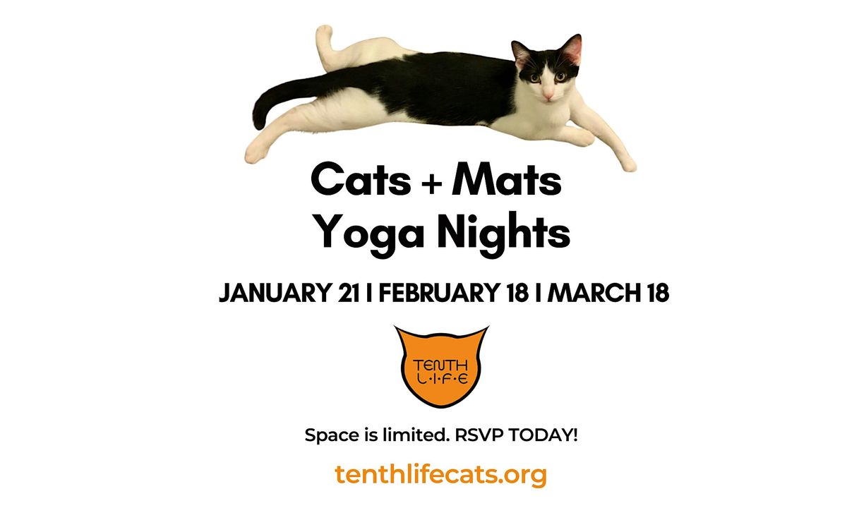 Cats N' Mats Yoga Night - March 2026