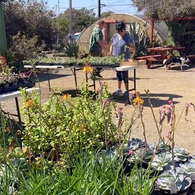 TMHA Growing Grounds Nursery