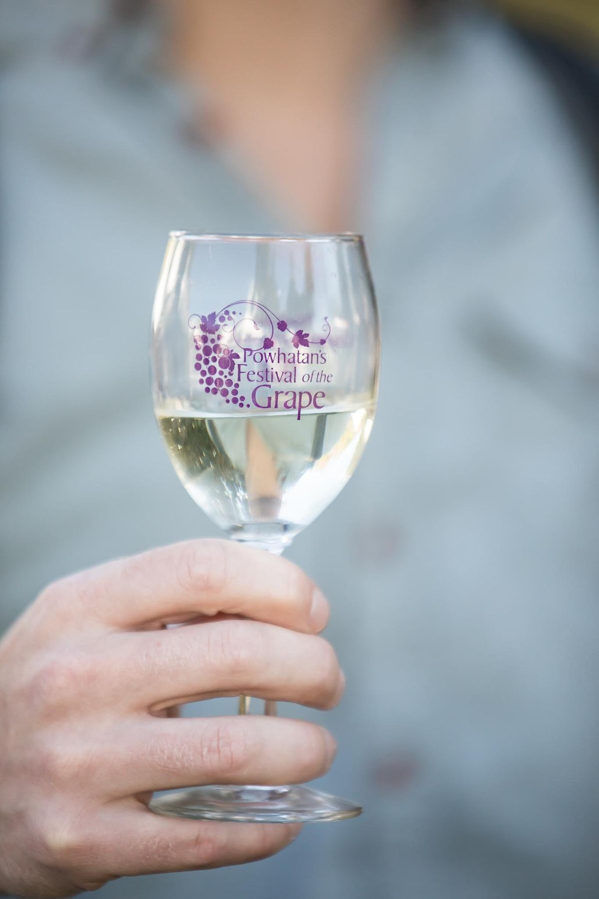 Powhatans Festival of the Grape 2025 Historic Courthouse Village