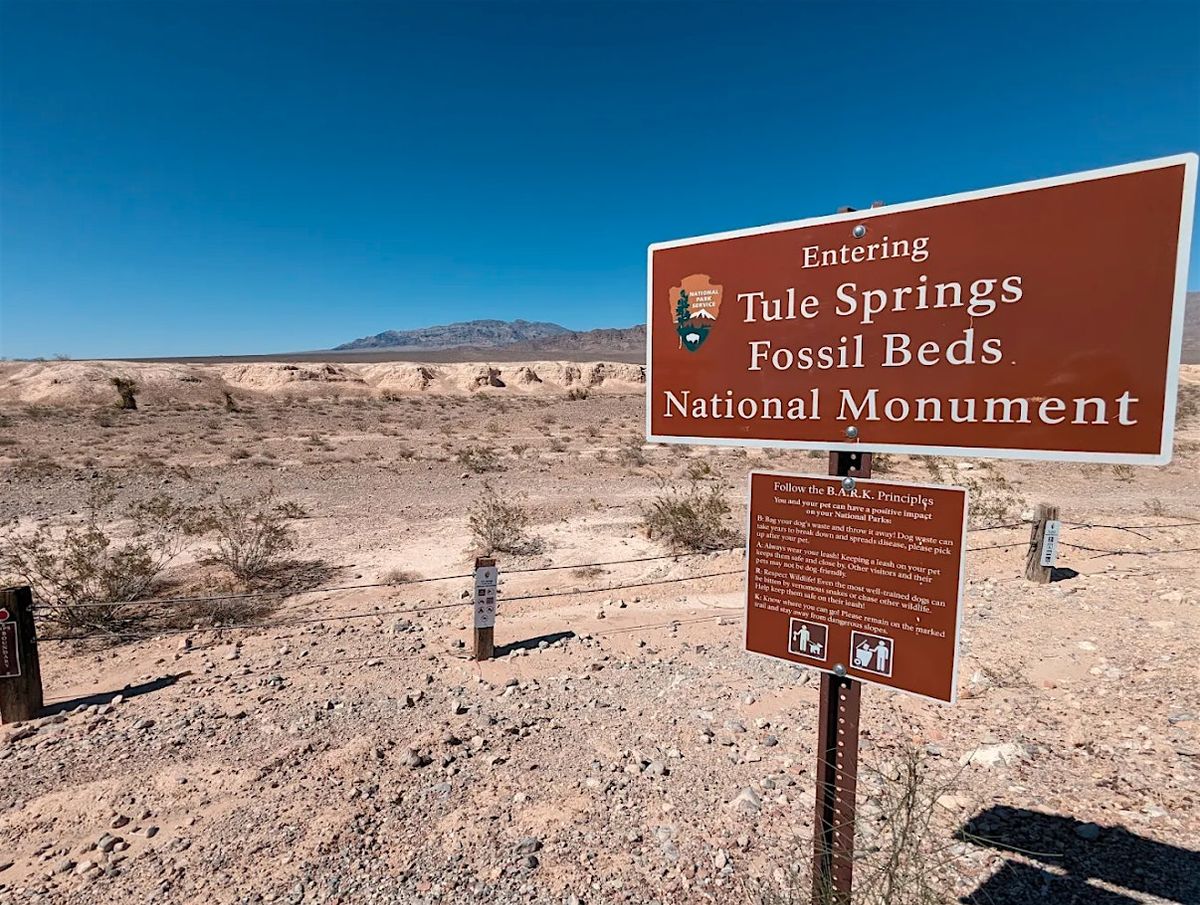 Las Vegas Leadership Walk at Tule Springs