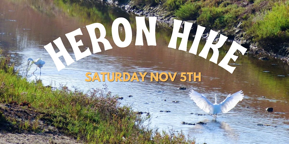 Los Cerritos Wetlands Nature Walk : Heron Hike | Los Cerritos Wetlands