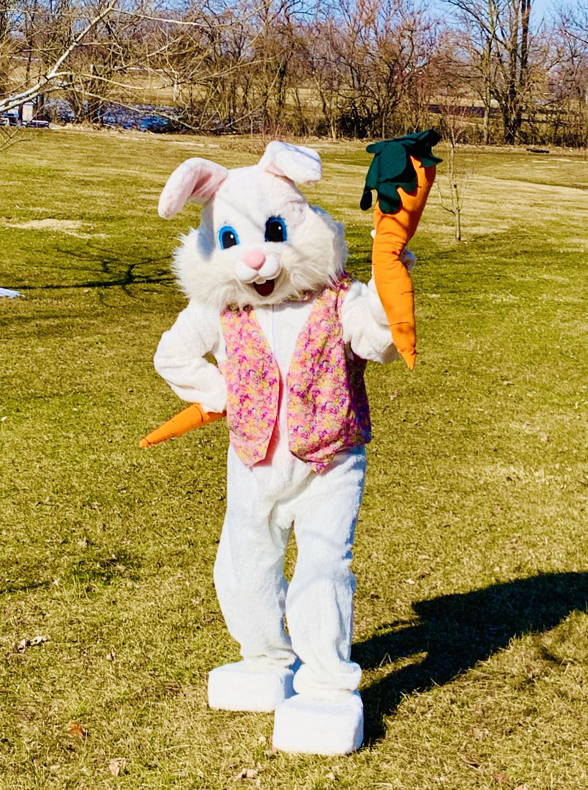 Easter Bunny! Train Ride! Visit with Spring lambs and goats! EGG HUNT