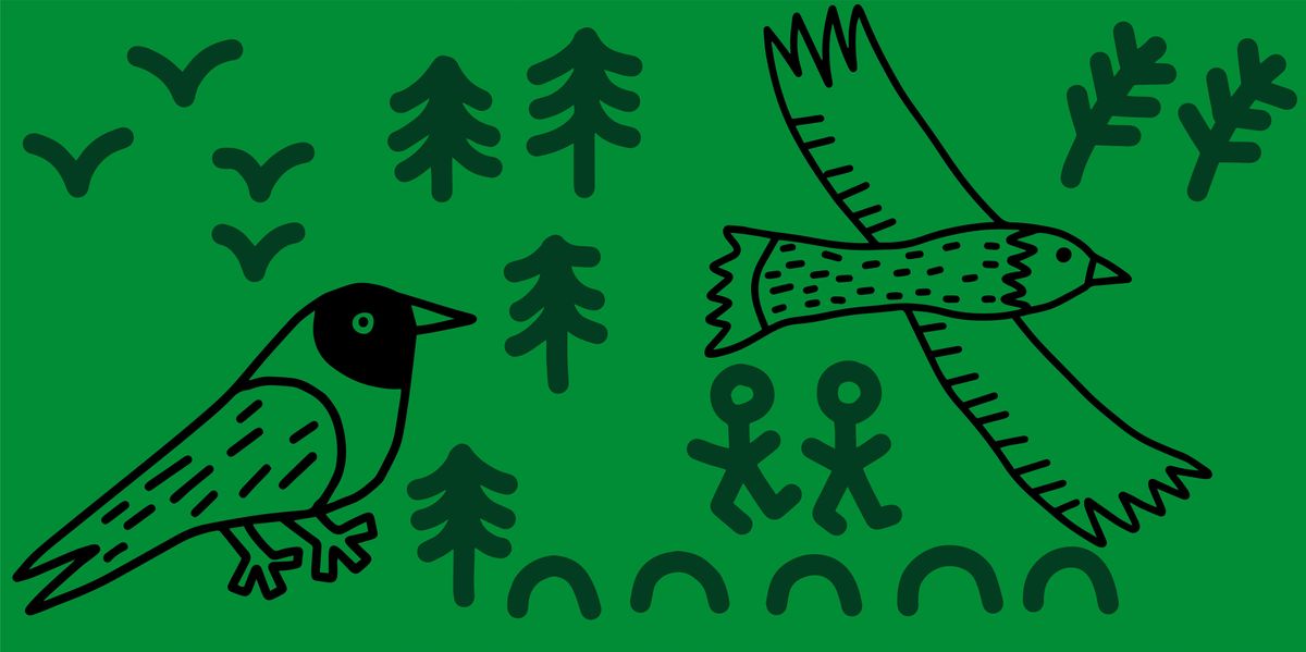 Big Garden Birdwatch & Sketch and Stroll at Hengrove Mounds