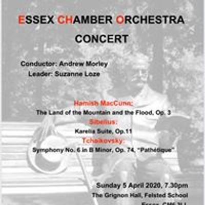 Essex Chamber Orchestra (ECHO)