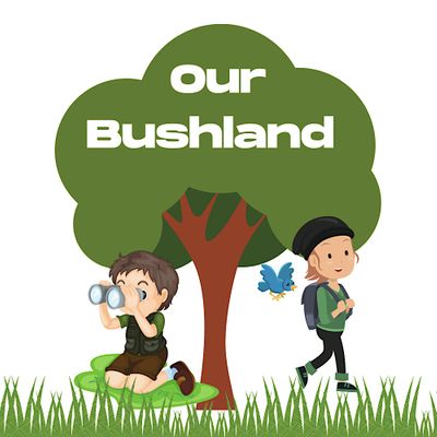 Our Bushland Festival organisers