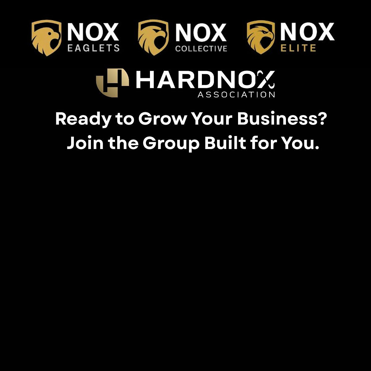 NOX COLLECTIVE - VISITOR DAY