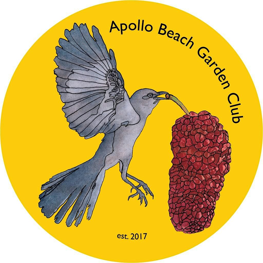 Junior Gardeners Academy Pilot Launch Event -Sweet Potato Harvest