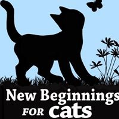 New Beginnings for Cats
