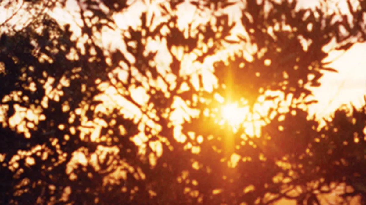 Kurt Vile, Stephen Malkmus in Memphis