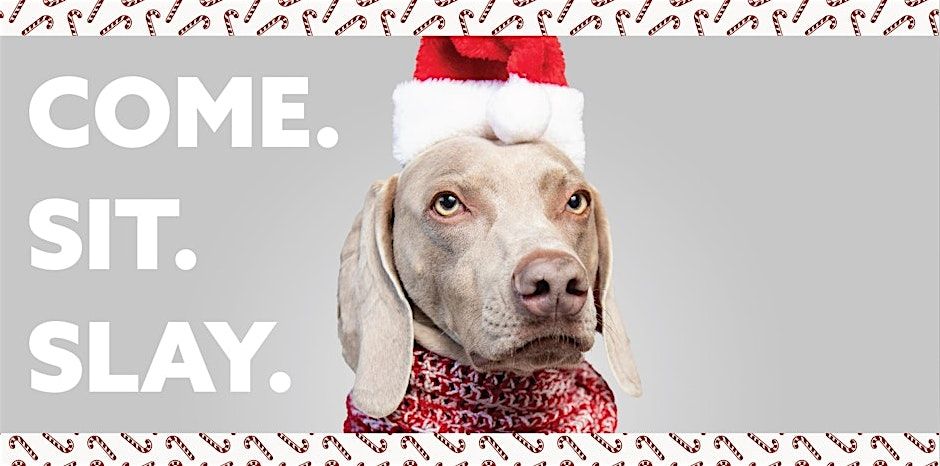 Santa Paws at Stamford Town Center