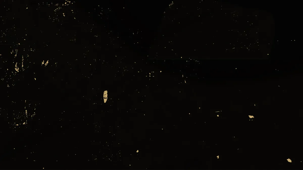 The Church in Launceston