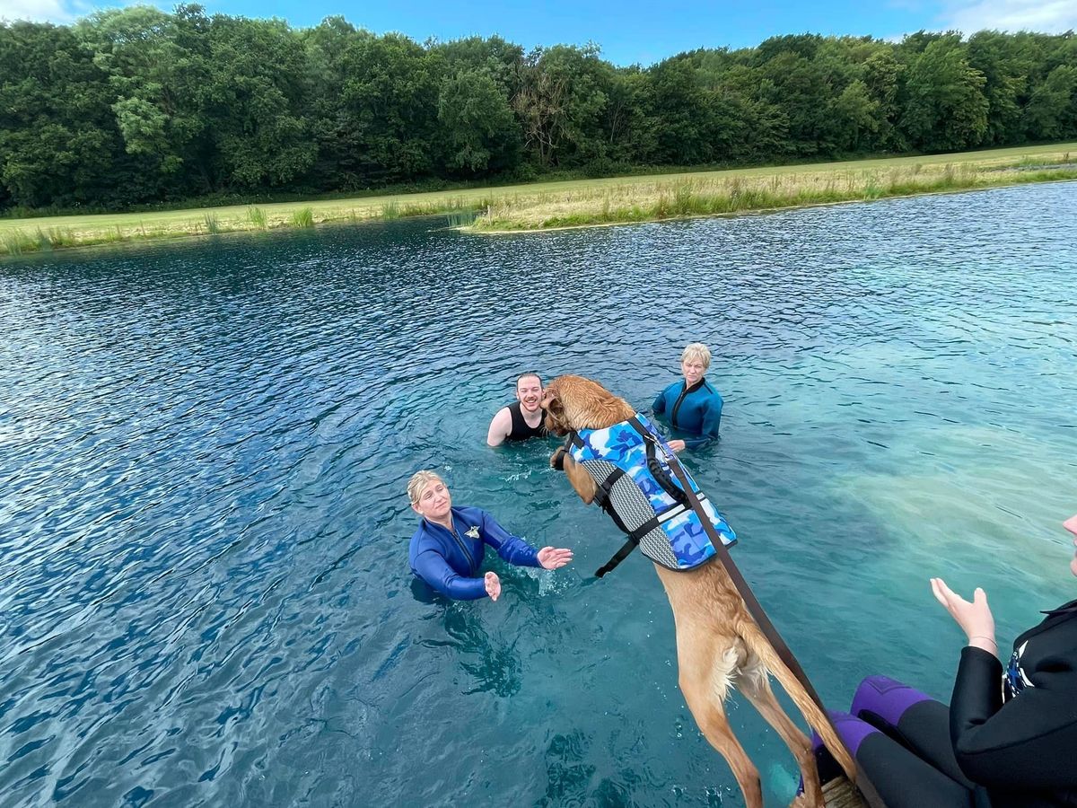 SWIM WITH YOUR DOG | Hoop Lane Farm, Hoop Lane Langton-by-wragby, LN8 ...