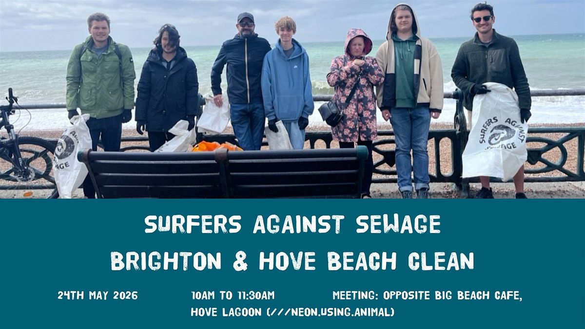 SAS Million Mile Brighton and Hove beach clean