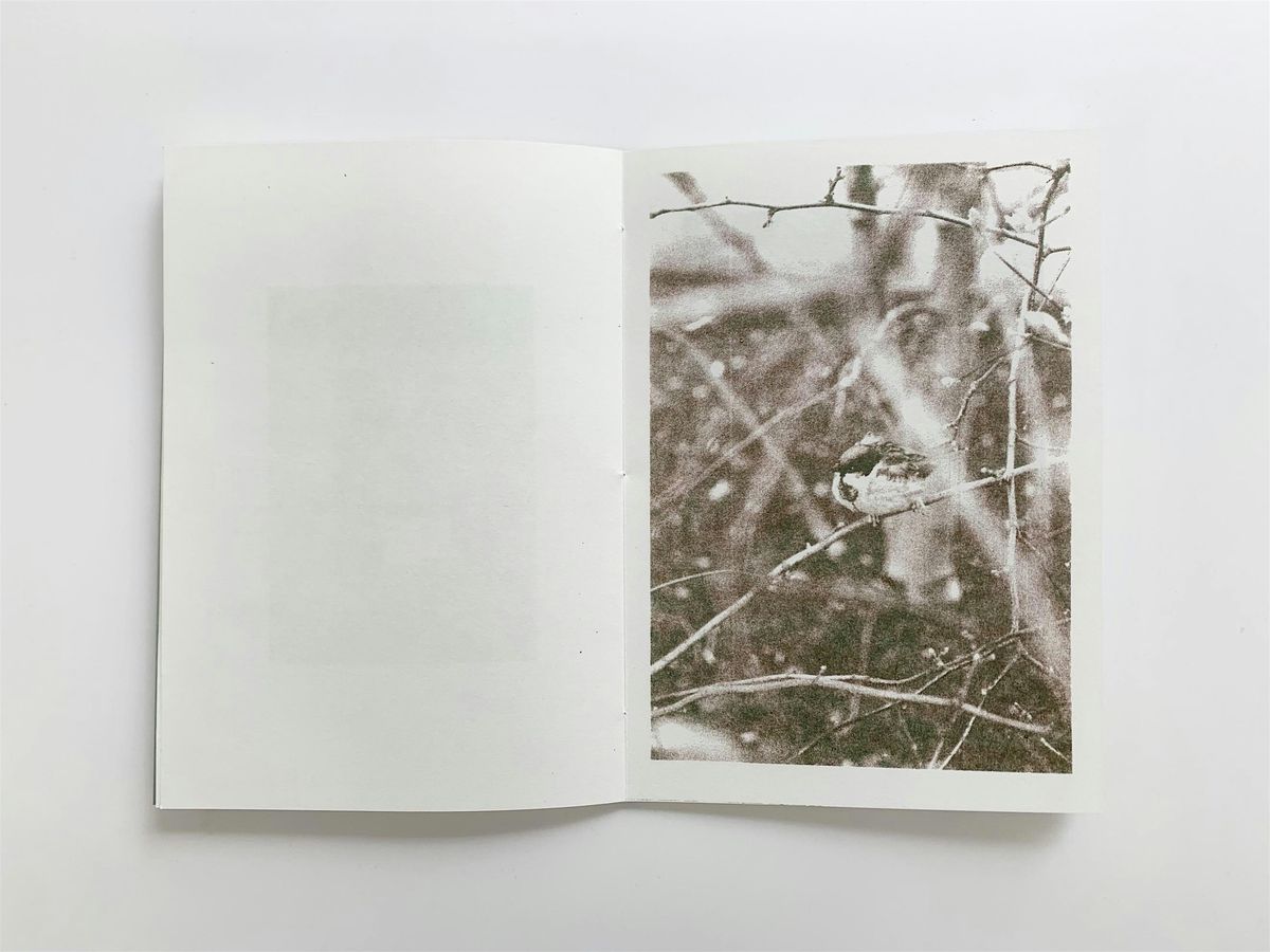 Paper in Artist Publishing Workshop