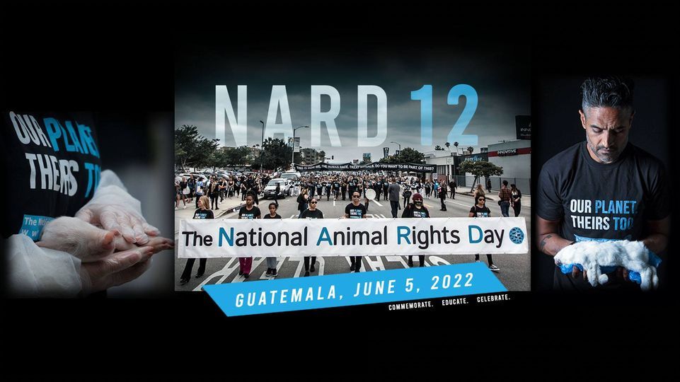 Guatemala National Animal Rights Day 2022 guatemala June 5, 2022