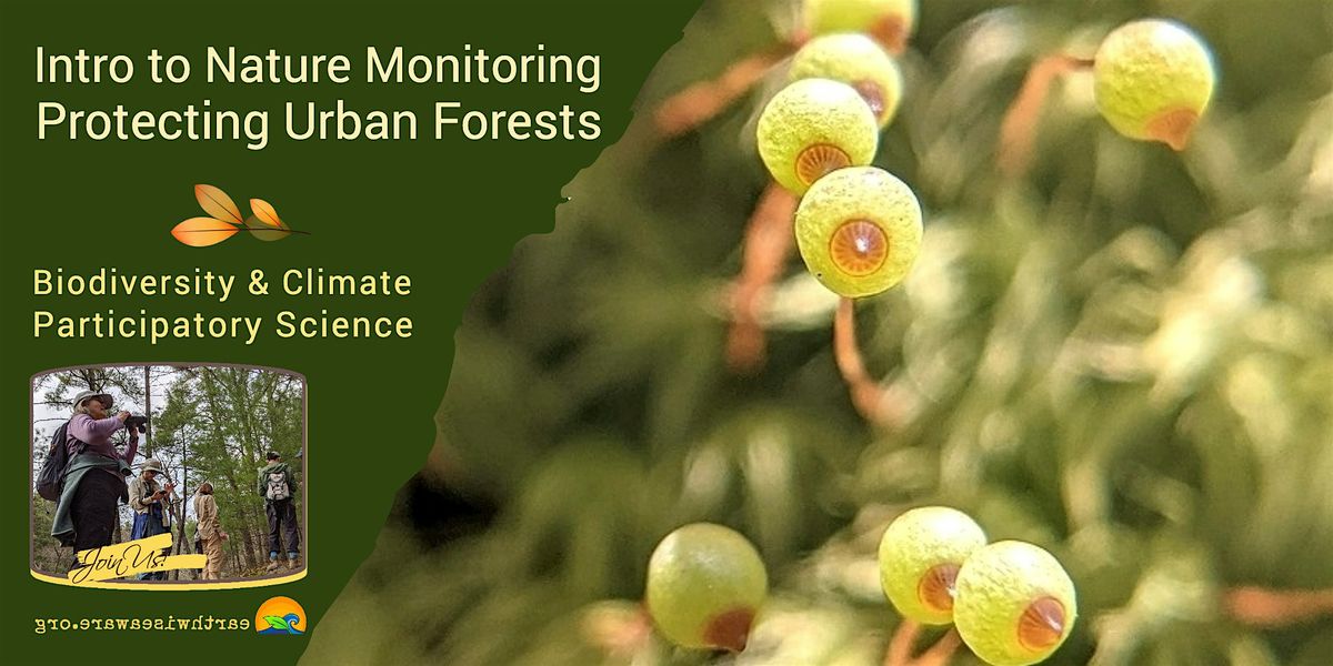 Introduction to Nature Monitoring \u2013 Protecting Urban Forests