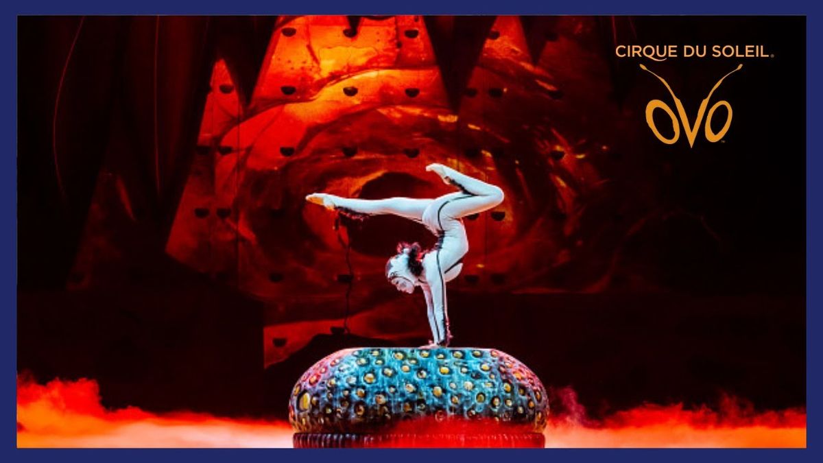 Cirque du Soleil OVO Madrid Tickets