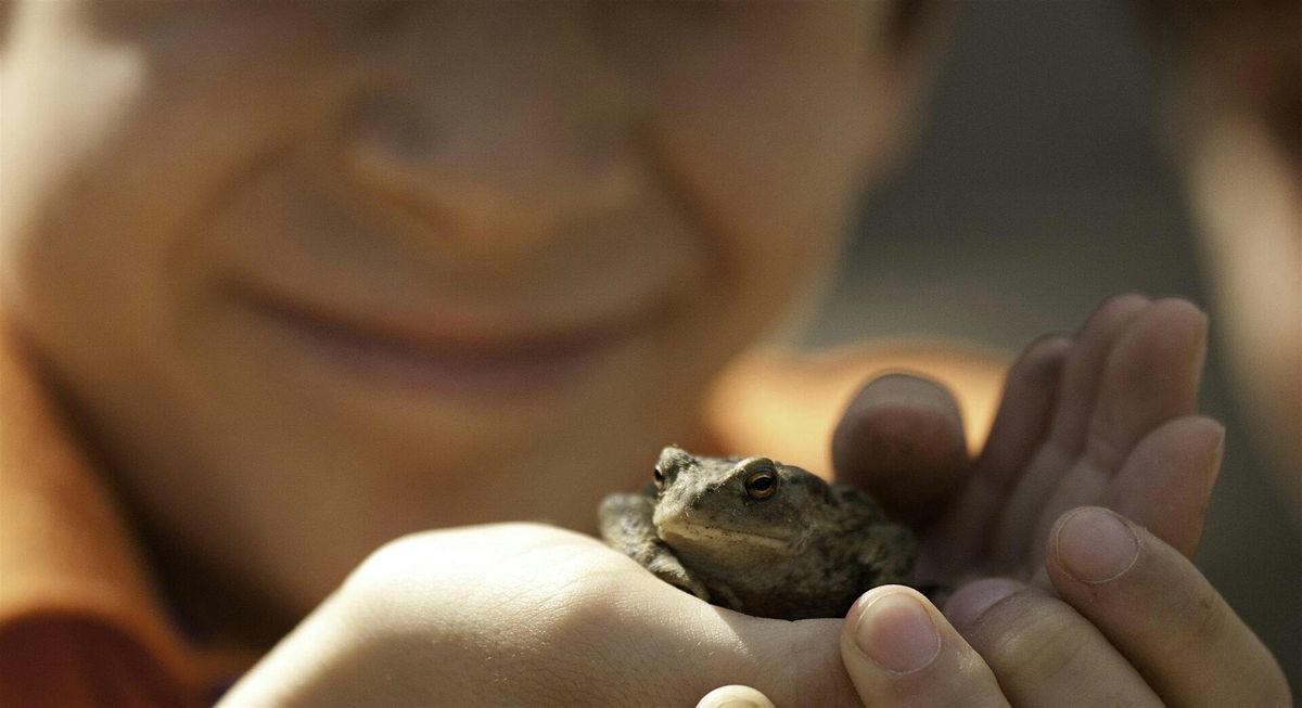 SEND Session at Centre for Wildlife Gardening