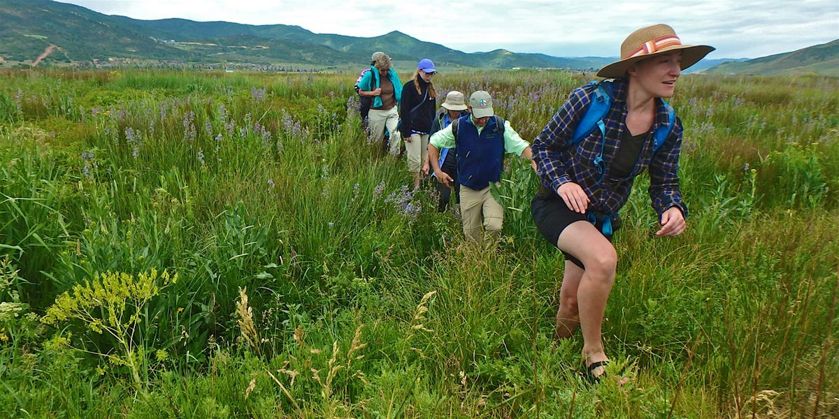 Swaner Saturday Morning Nature Walks