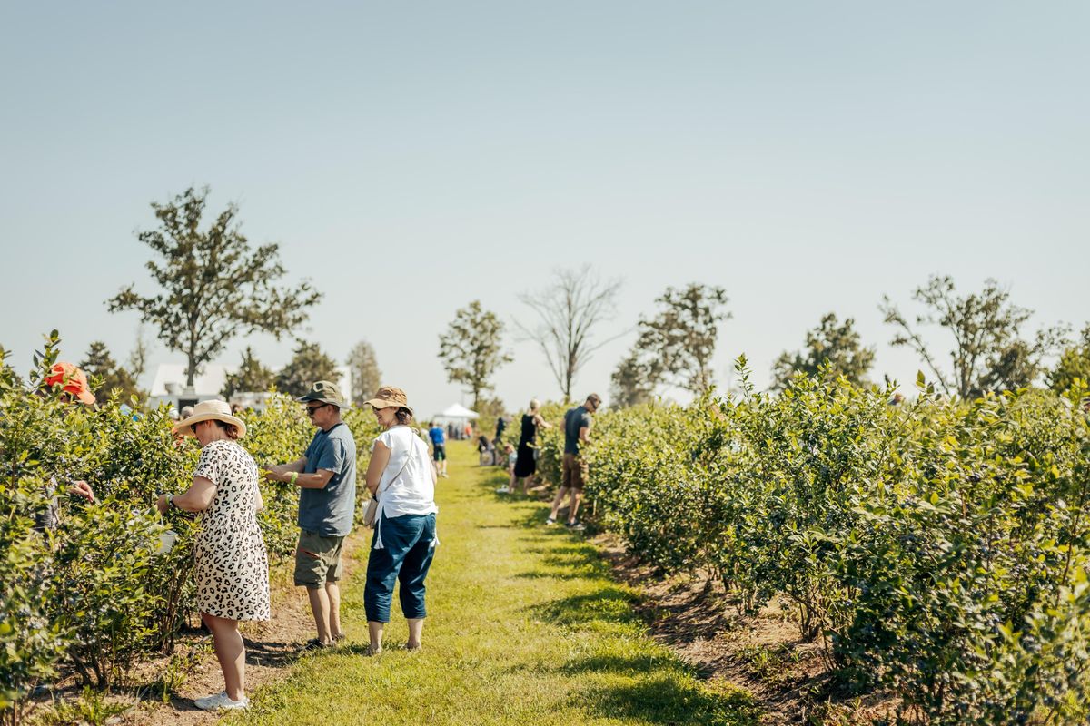 Berry Fest Bentonville 2022