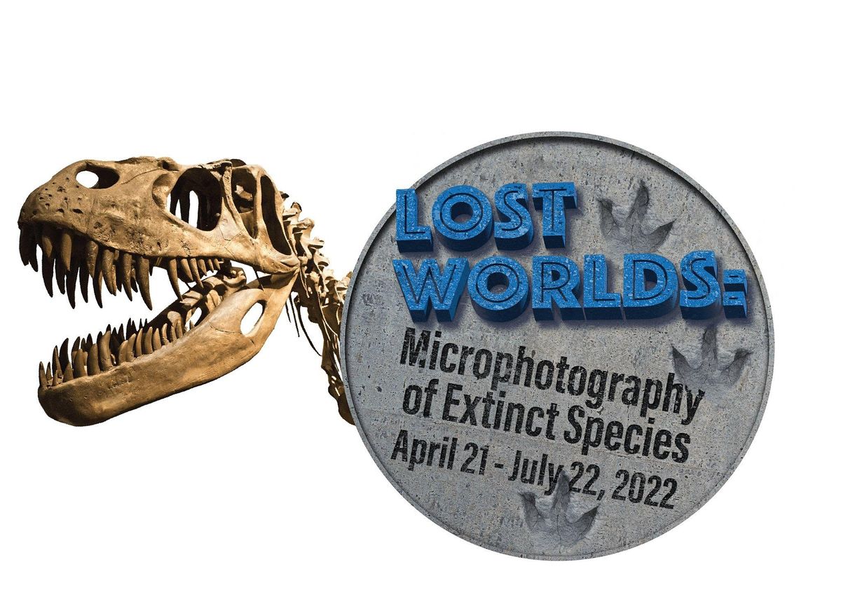 Jurassic World Talk Back R/C Wilkes Barre Movies 14, WilkesBarre, PA