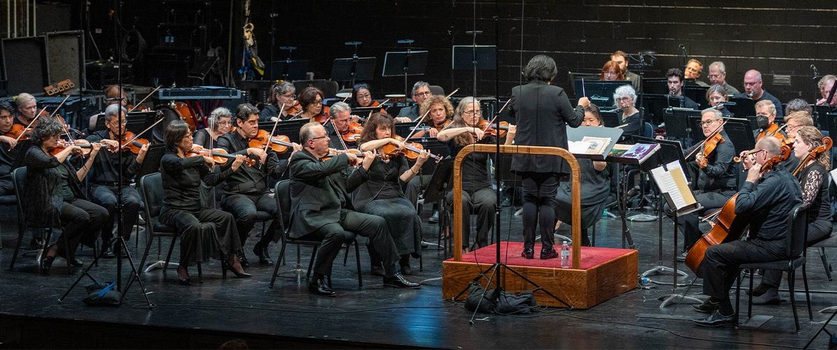 Richardson Symphony Orchestra - Holiday Classics at Eisemann Center