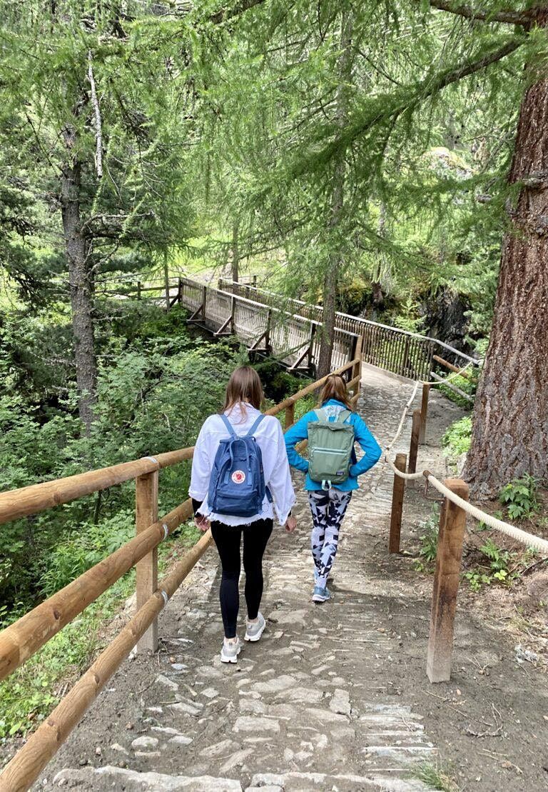 Medicinal Herbal Walking Tour Through Bankers Hill Balboa Park 320 medicinal-herbal-walking-tour-through-bankers-hill-balboa-park-320