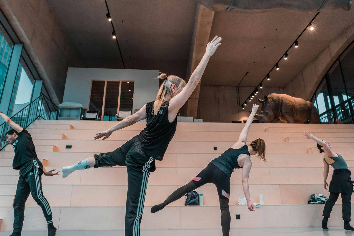 Double Skin \/ Double Mind - Open Classes