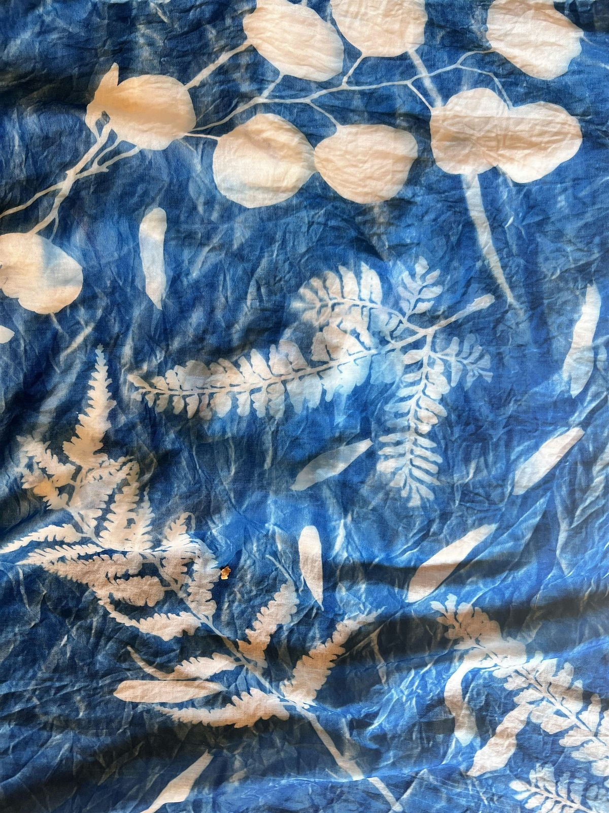 Prints with the Sun: The Next Level!  Art of Cyanotypes