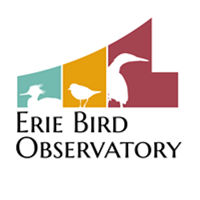 Erie Bird Observatory