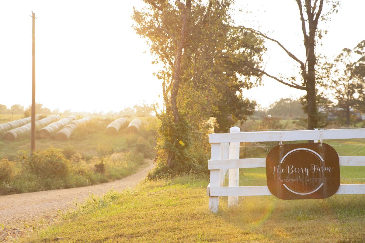 Berry Fest Bentonville The Berry Farm Bentonville June 17 to June 18