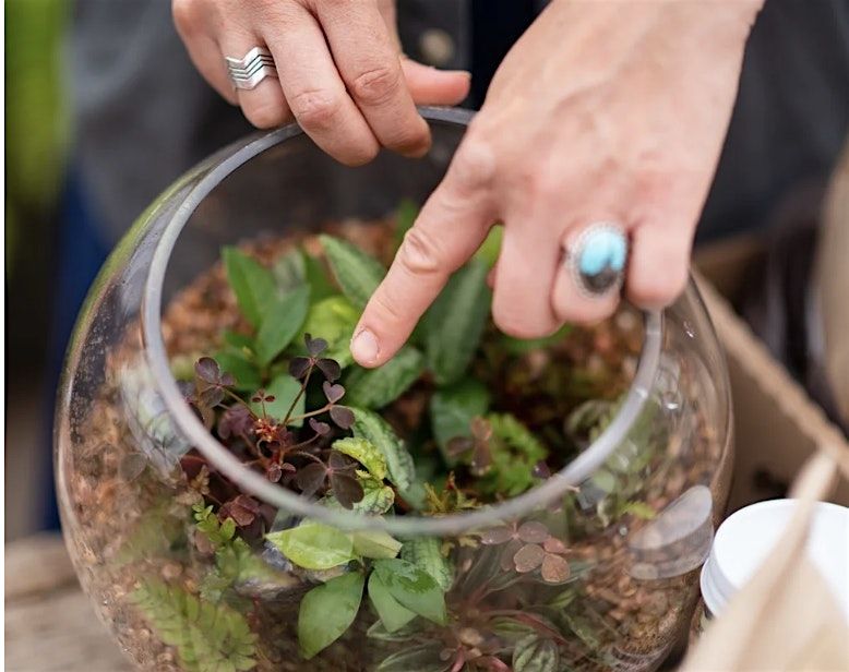 Terrarium Building Workshop