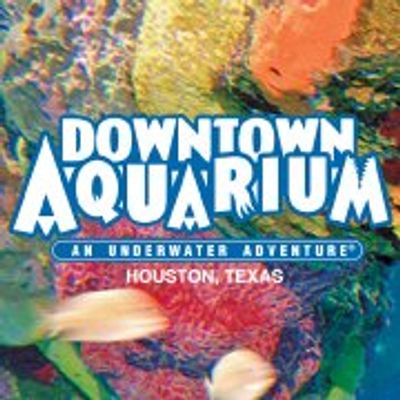 Downtown Aquarium - Houston