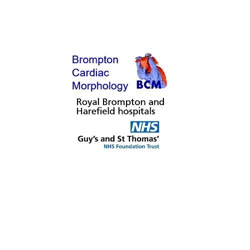 Hands-On Cardiac Morphology Course - JUNE 2026
