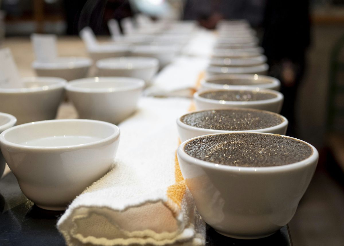 Andytown Coffee Monthly Tasting