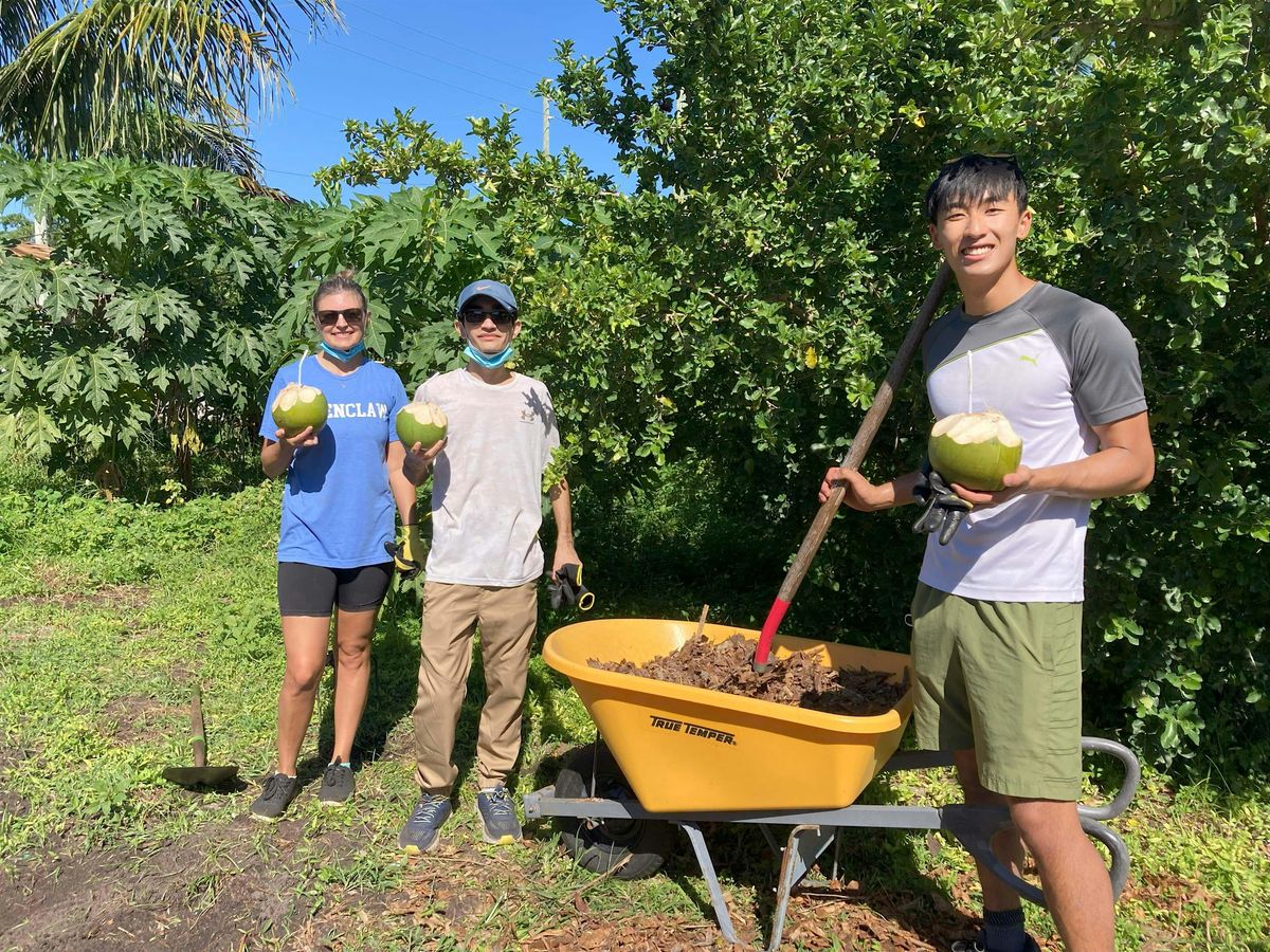 Community Cultivators, Volunteer at the farm!