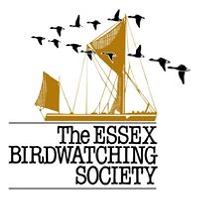 Essex Birdwatching Society