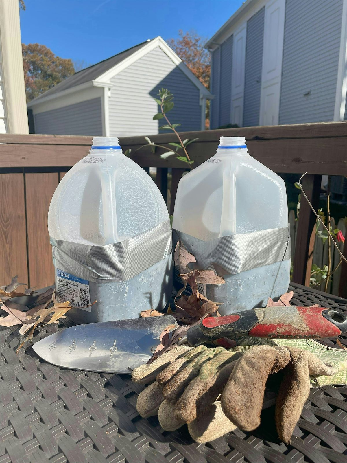 Winter Sowing Workshop I hosted by Wild Ones