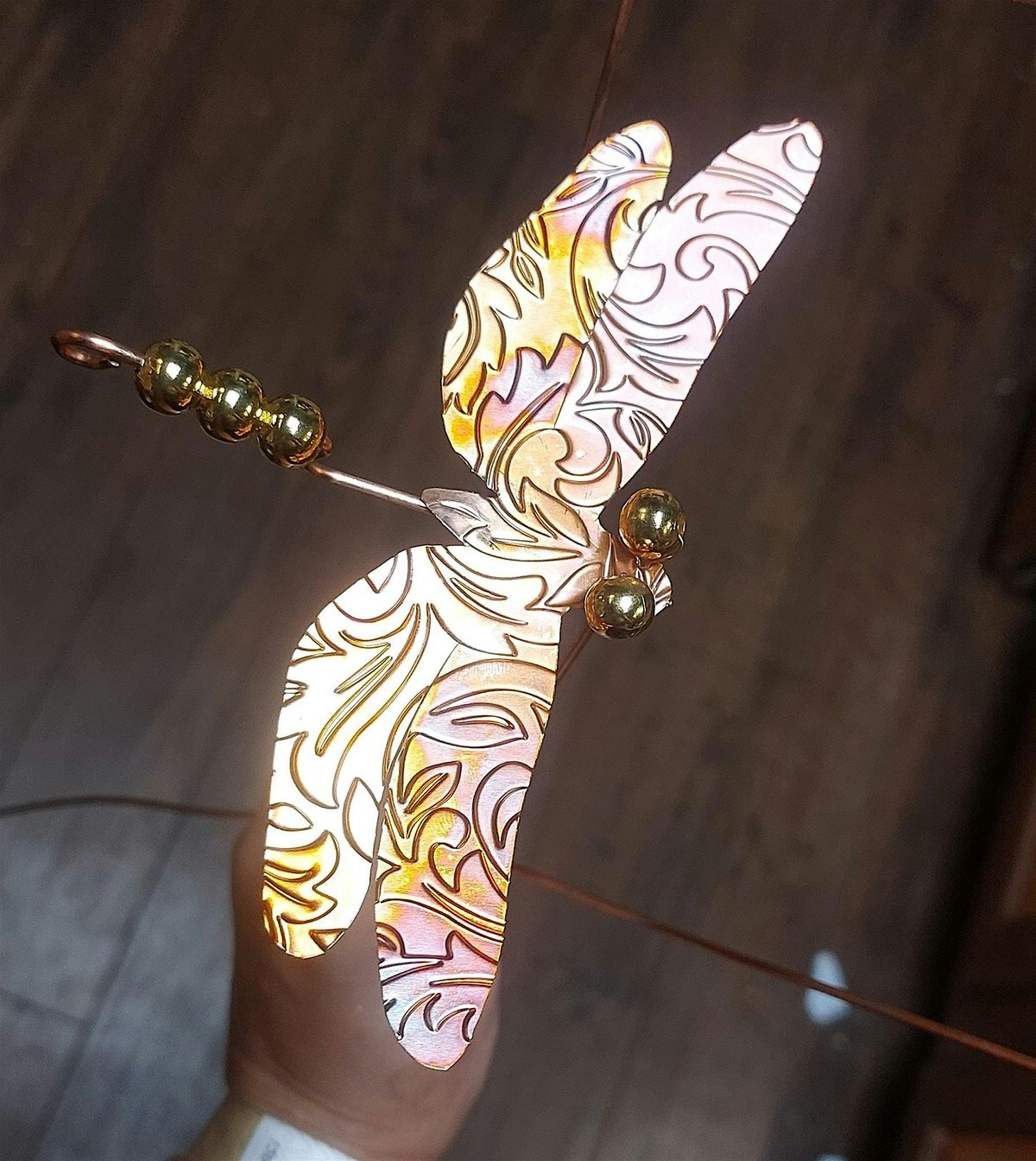 Copper class - Garden Dragonflies at The Vineyard at Hershey