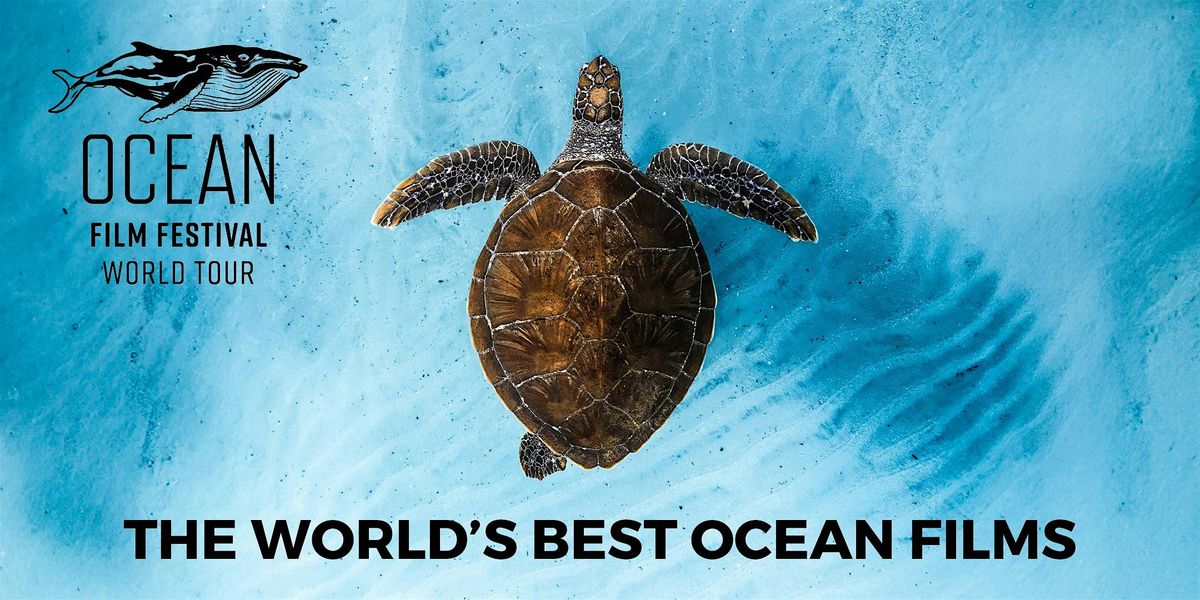 Ocean Film Festival - Cambridge - 26 November 2026