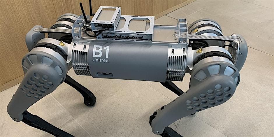 Winter Fun with the Robot Dog