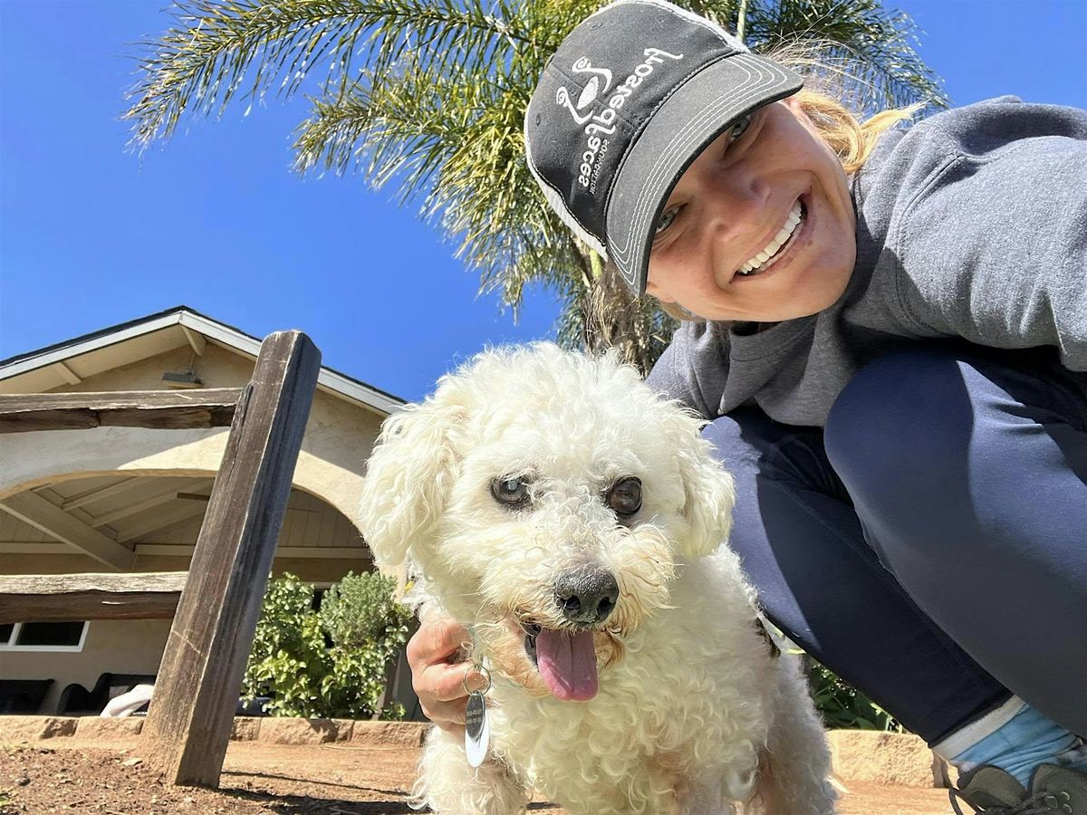 Relax with Friendly Rescue Dogs