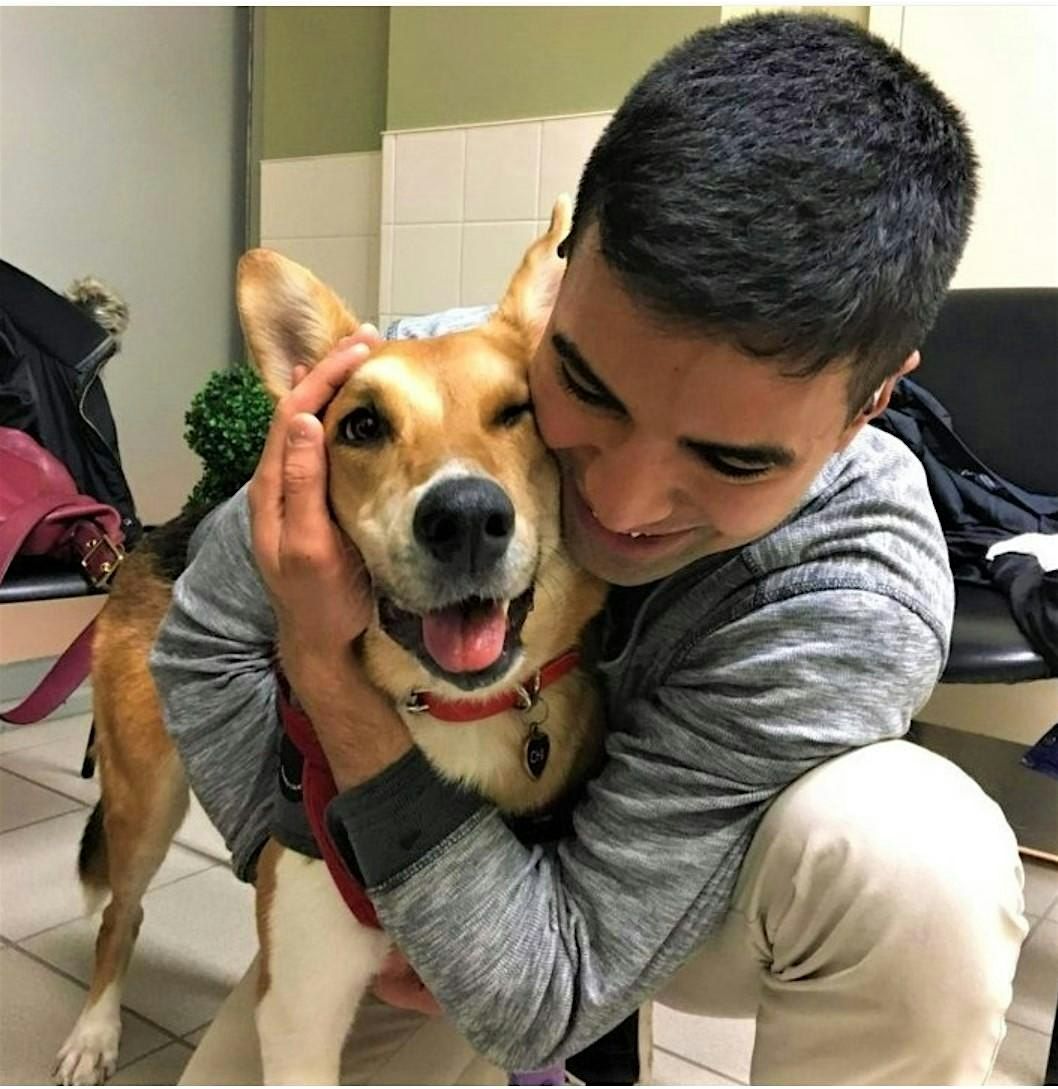 Animals Teach Divine Love: A Spiritual Discussion