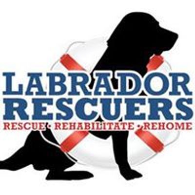 Labrador Rescuers of San Diego