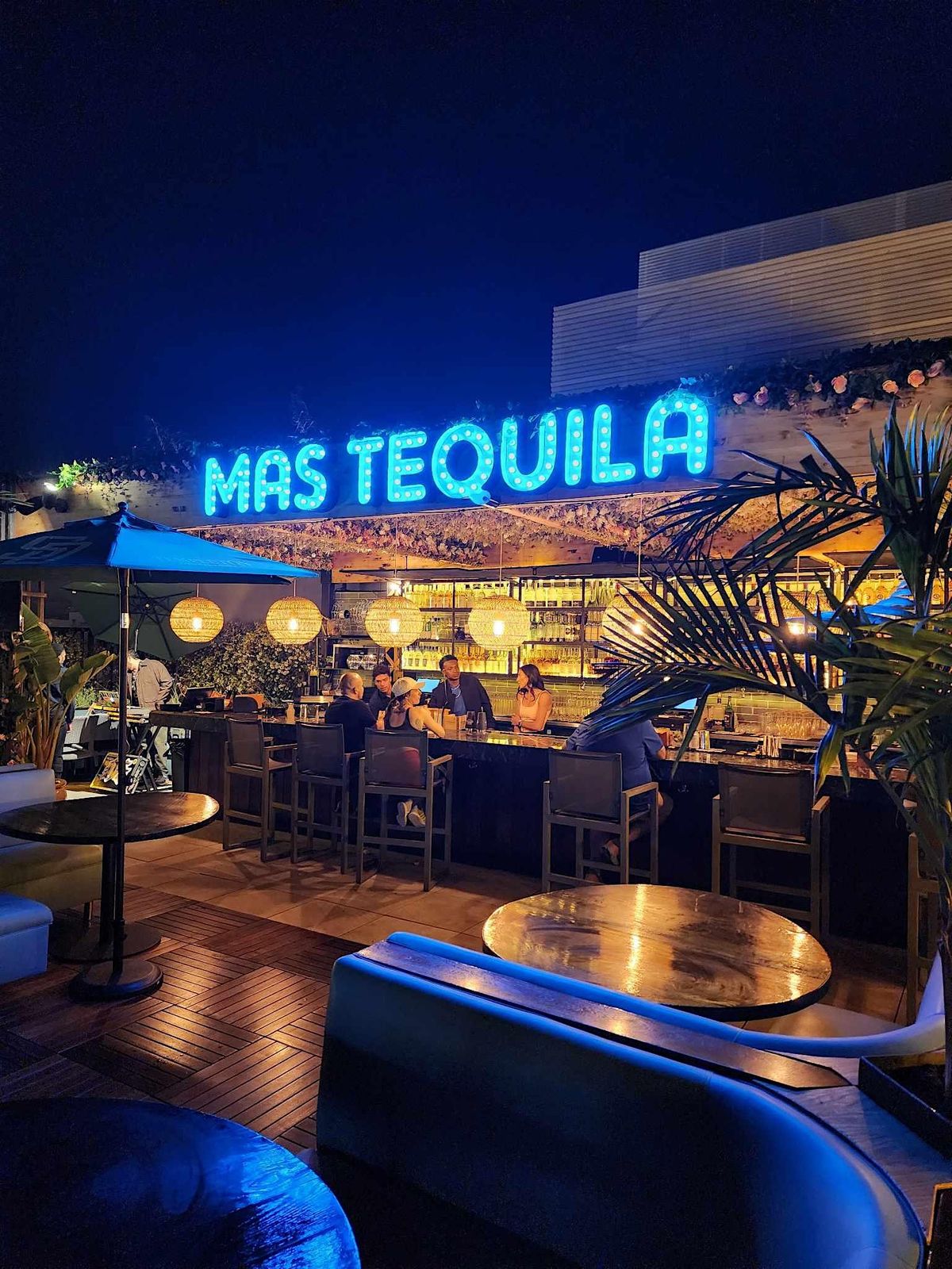 Cielo Christmas Speakeasy Rooftop Happy Hour Friday